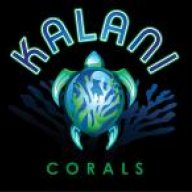 Kalani Corals