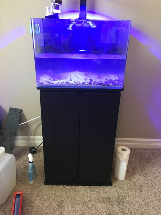 30 gallon JBJ rimless tank and stand MASC Marine Aquarium Society of Colorado