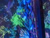 IMG_3541.jpeg