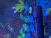 IMG_3543.jpeg