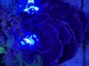 IMG_0286.jpeg