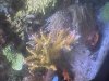 IMG_3890.jpeg