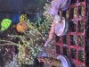 IMG_3763.jpeg