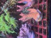 IMG_3759.jpeg