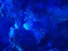 IMG_1823.jpeg