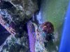 IMG_1843.jpeg