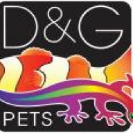 DGPets