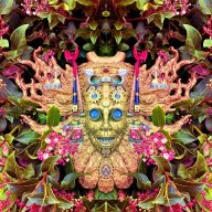 Shpongled