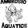 Ambrosio Aquatics