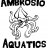 Ambrosio Aquatics